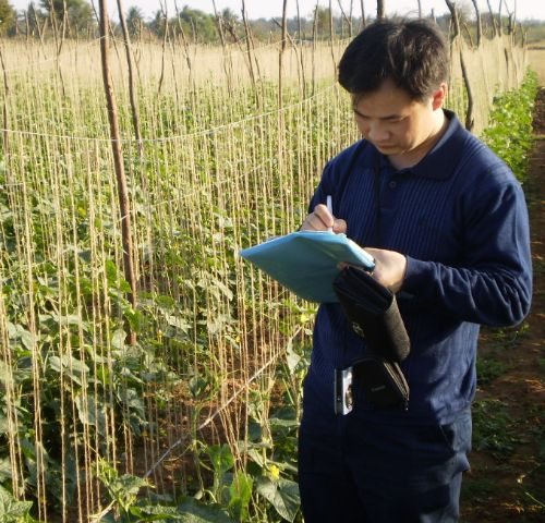 Field auditor recording observations in a crop trial