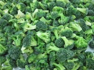 IQF broccoli florets