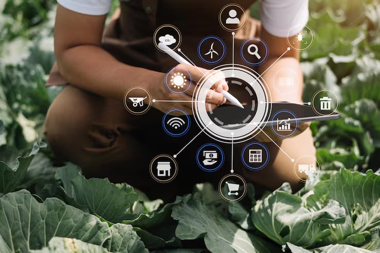 A grower crouched in a field of brassicas working on a tablet, ringed by supply-chain icons