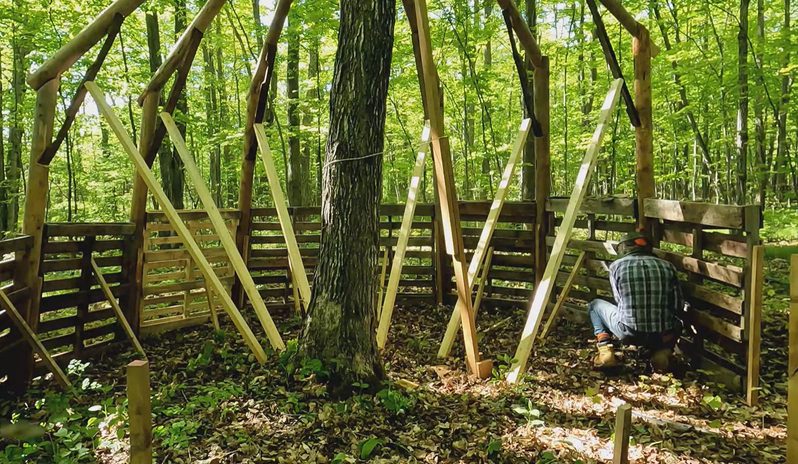 The Terricolous timber bat habitat built around a tree in the Waupoos Healing Forest